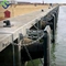 تمت الموافقة على Long Life Span Defense Supper Cone Marine Dock Fender BV CCS المعتمدة
